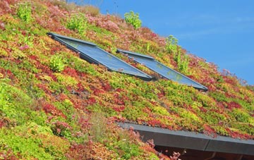 Heathercombe living roof systems